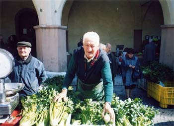 Sedano Nero di Trevi - Mostra Mercato