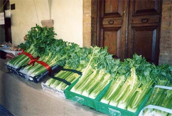 Trevi - Mostra mercato del sedano Nero 2003 (foto Castellini)